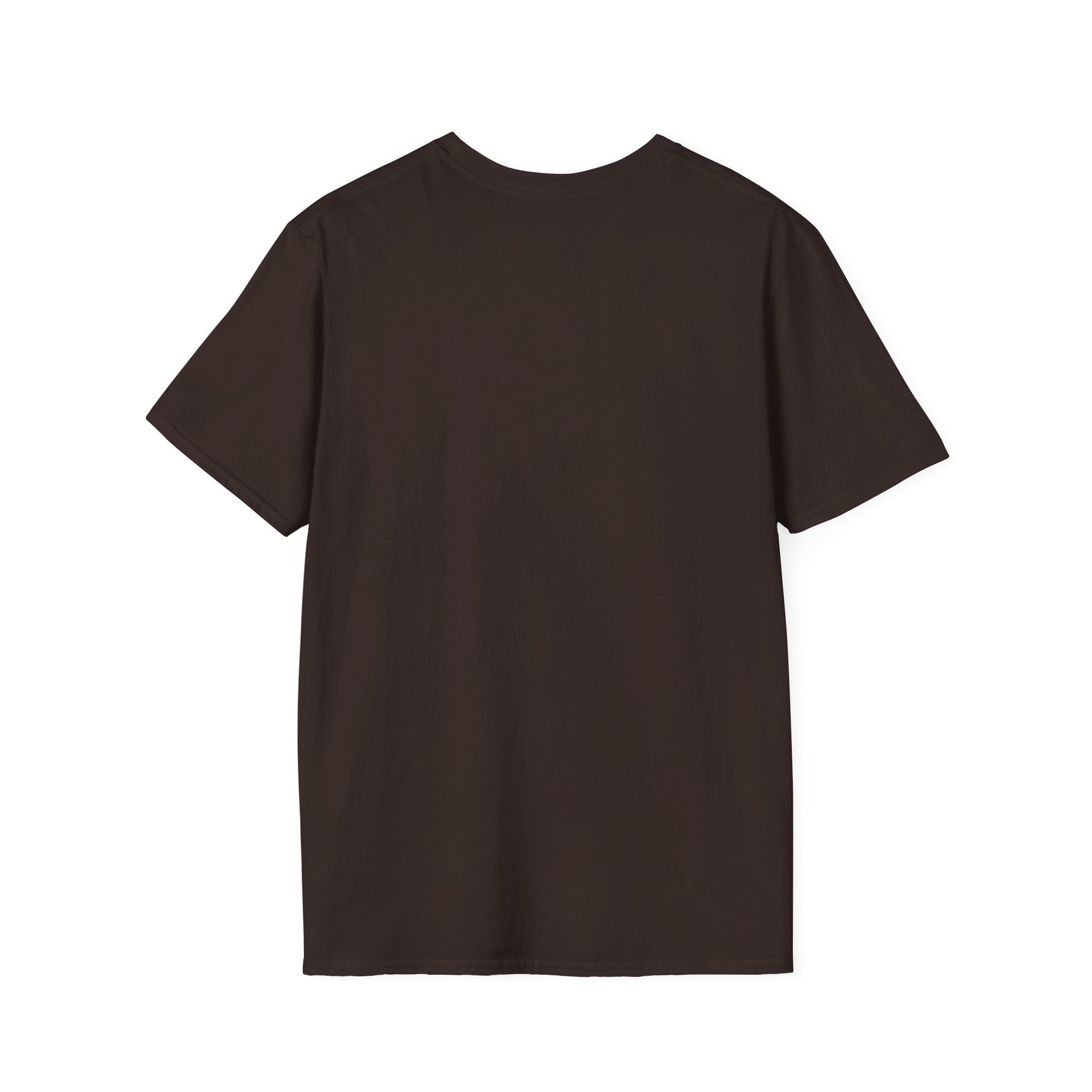 Positive Message T-Shirt — “Stay Positive and Have an Amazing Day” Motivational Tee